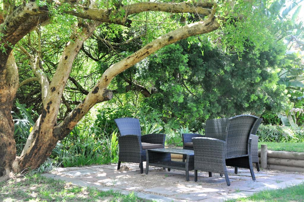 Umlambo River Lodge Kirkwood Buitenkant foto