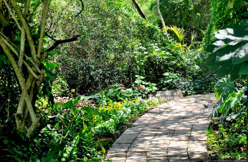 Umlambo River Lodge Kirkwood Buitenkant foto